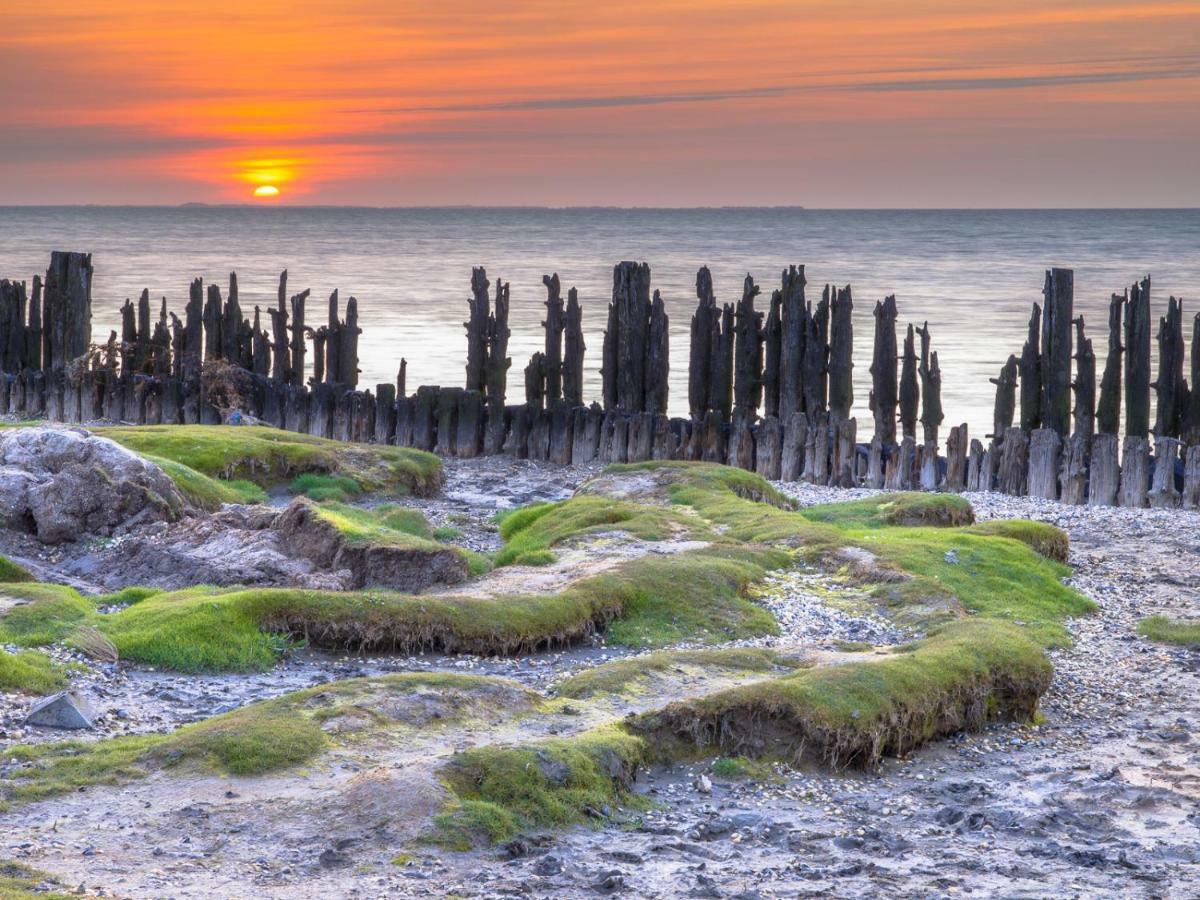 Wadsuper Vakantiewoning Paesens Moddergat Aan De Waddenzee Экстерьер фото